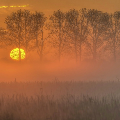 Илья Мухамедьянов