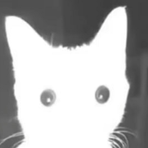 Андрей Бабаев